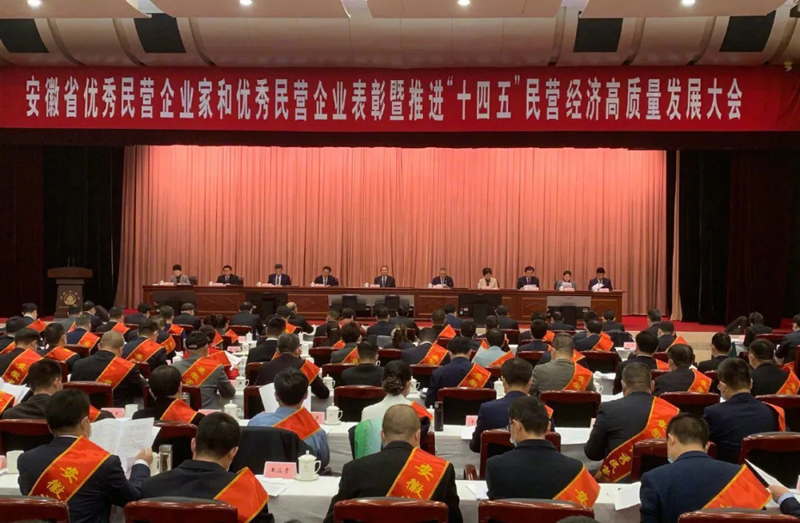 喜訊！元琛科技總經理梁燕被授予“安徽省優(yōu)秀民營企業(yè)家”稱號